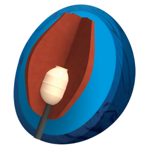 Piranha PowerCOR Core